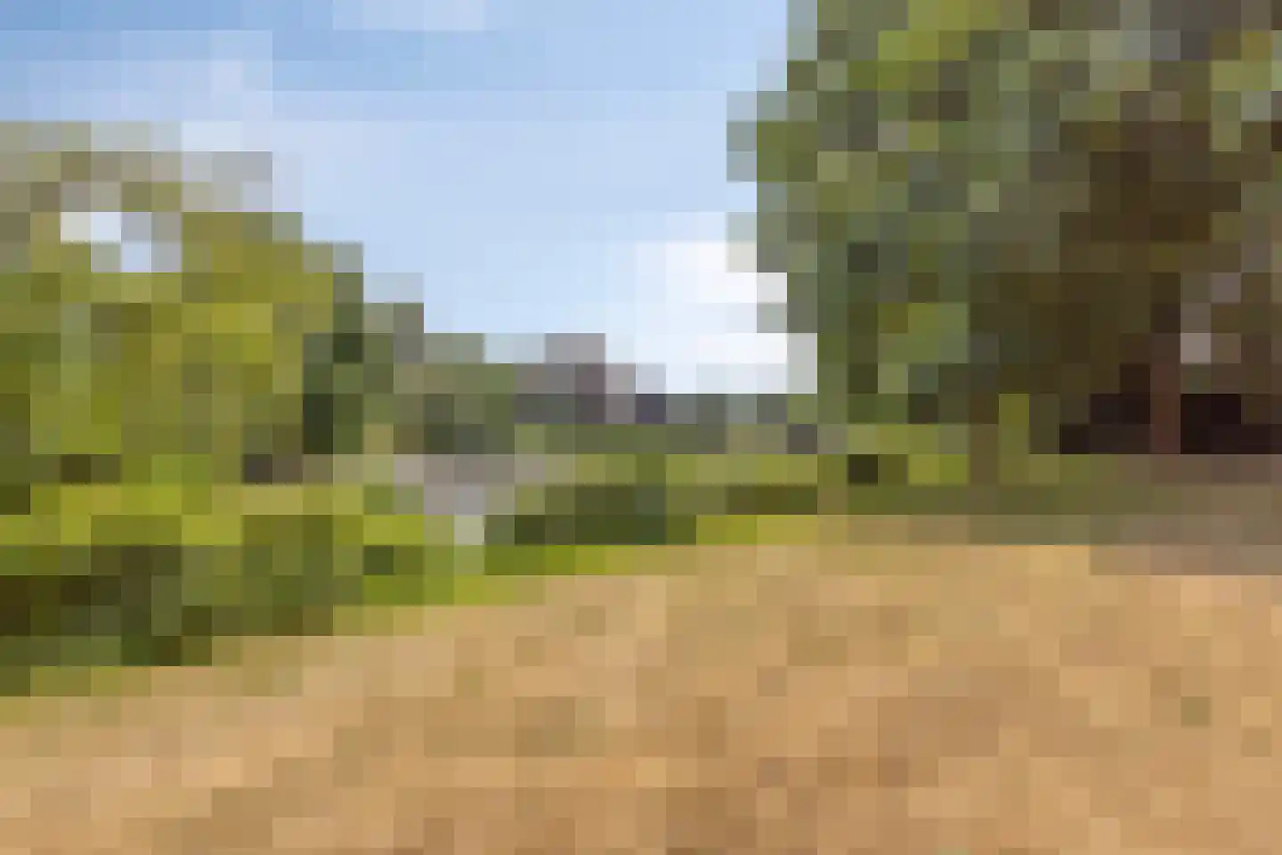De Biezen 23 Schaijk thumbnail 46