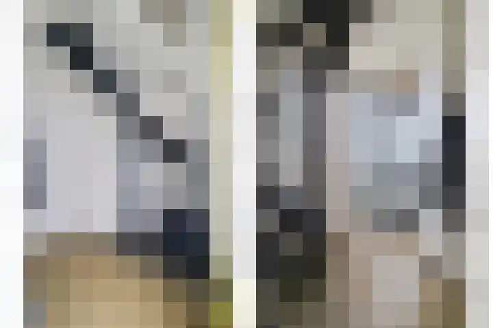 De Biezen 28 Venhorst thumbnail 10