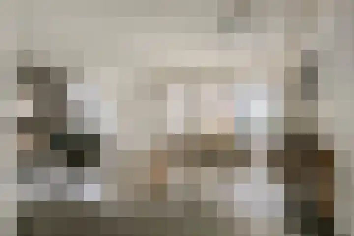 De Biezen 28 Venhorst thumbnail 11