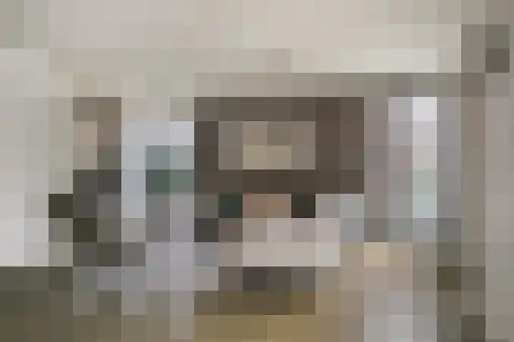 De Biezen 28 Venhorst thumbnail 13