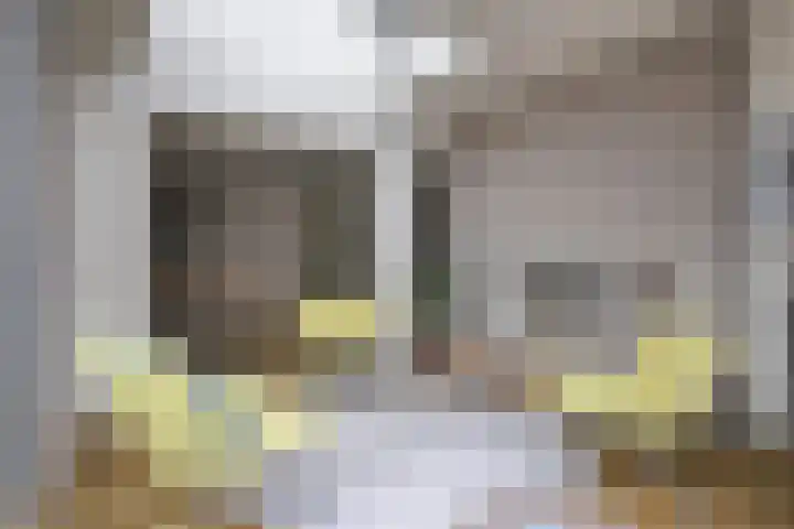 De Biezen 28 Venhorst thumbnail 17