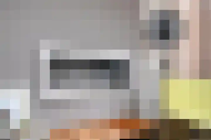 De Biezen 28 Venhorst thumbnail 18