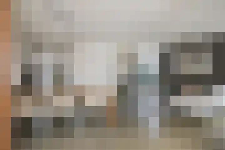 De Biezen 28 Venhorst thumbnail 19