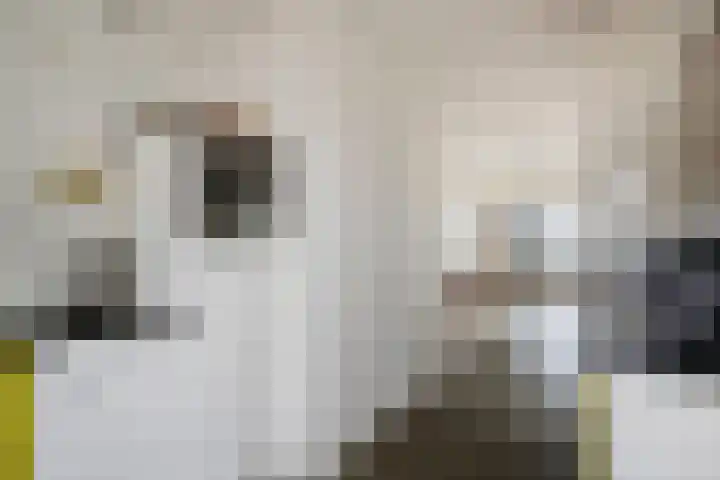 De Biezen 28 Venhorst thumbnail 22