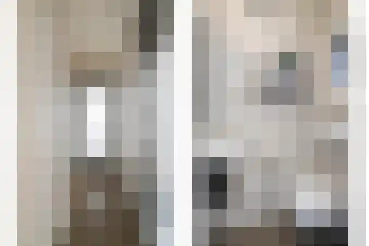 De Biezen 28 Venhorst thumbnail 24