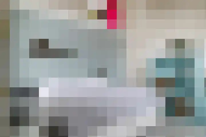 De Biezen 28 Venhorst thumbnail 26