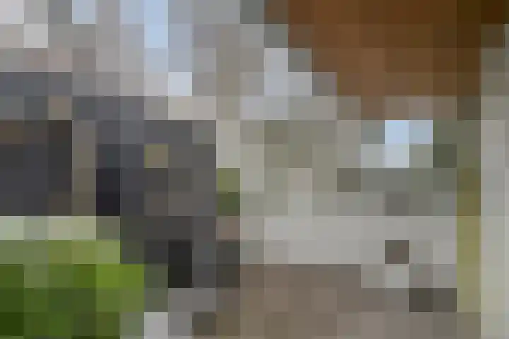 De Biezen 28 Venhorst thumbnail 37