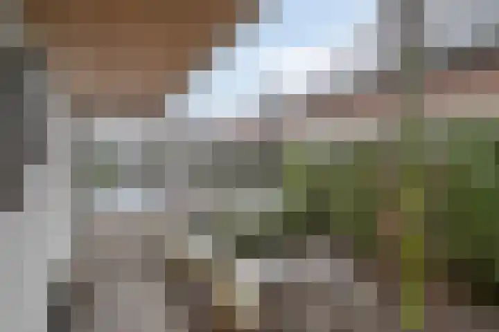 De Biezen 28 Venhorst thumbnail 38