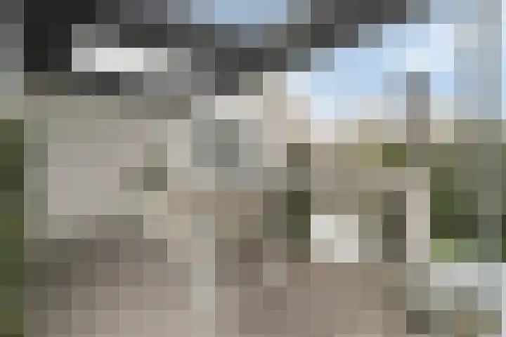 De Biezen 28 Venhorst thumbnail 40