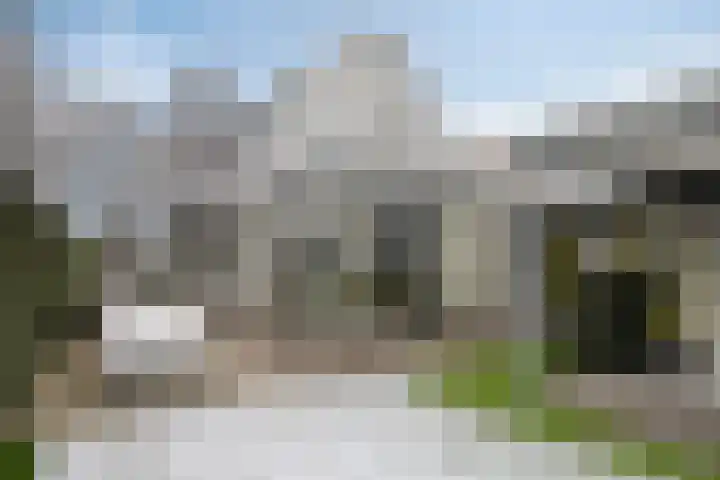 De Biezen 28 Venhorst thumbnail 42