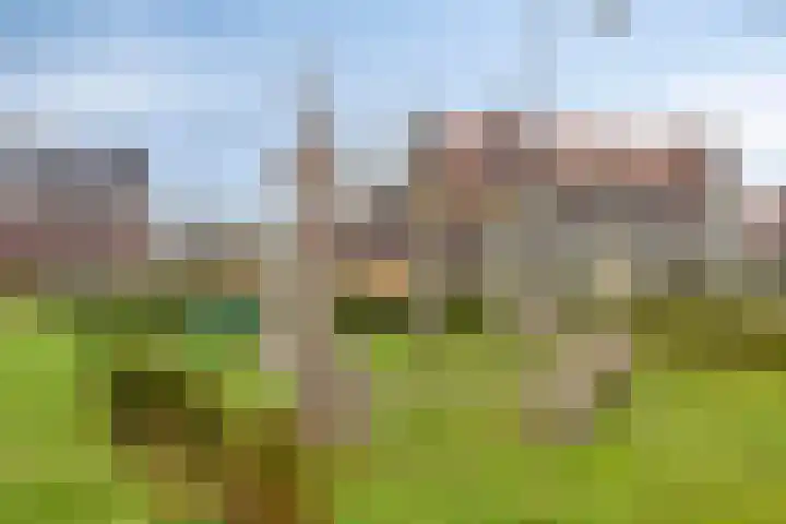 De Biezen 28 Venhorst thumbnail 49