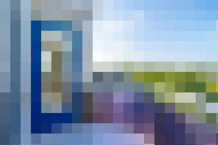 de Biezen 42 IJsselstein thumbnail 20