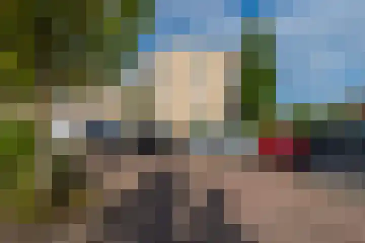 de Biezen 42 IJsselstein thumbnail 33