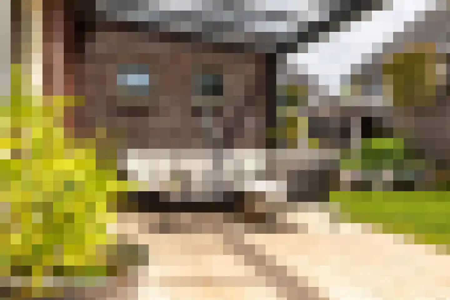 de Biezenbusse 12 Zelhem thumbnail 11