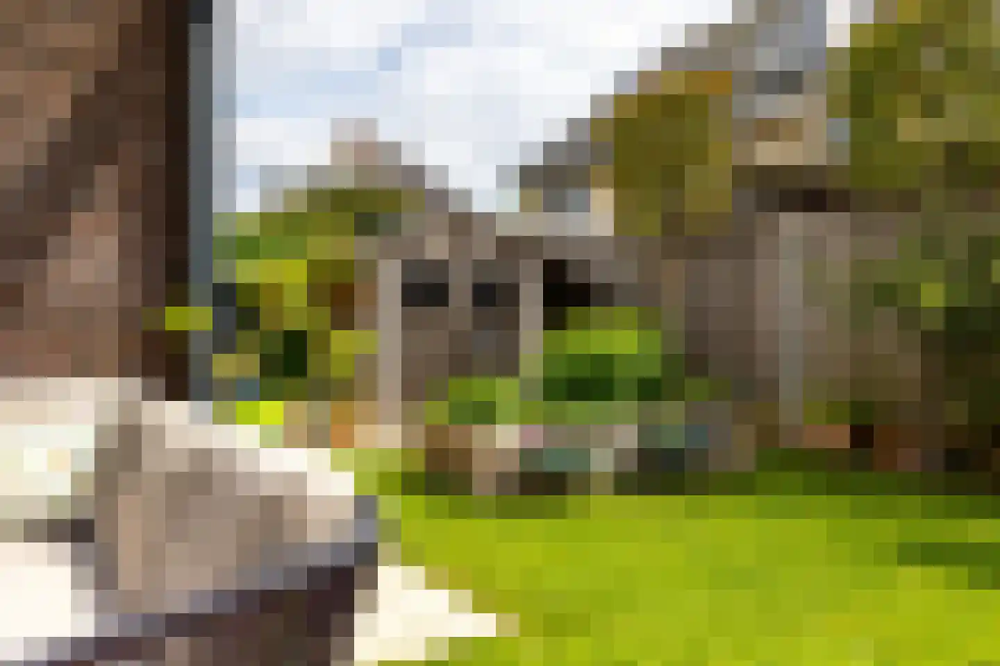 de Biezenbusse 12 Zelhem thumbnail 12