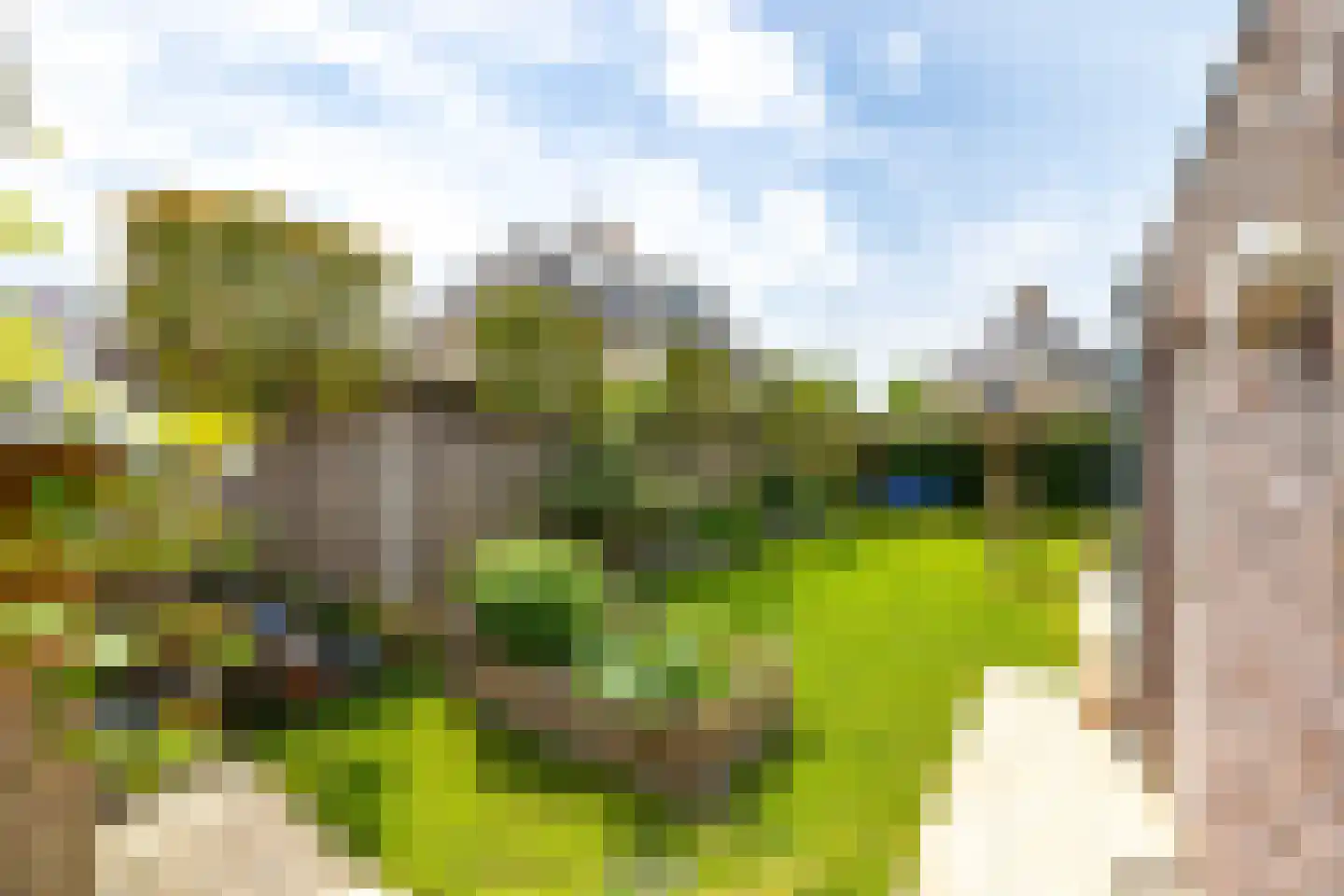 de Biezenbusse 12 Zelhem thumbnail 14