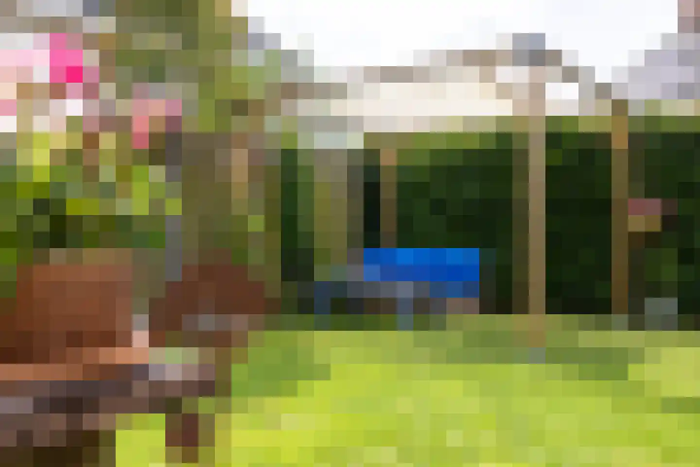 de Biezenbusse 12 Zelhem thumbnail 16