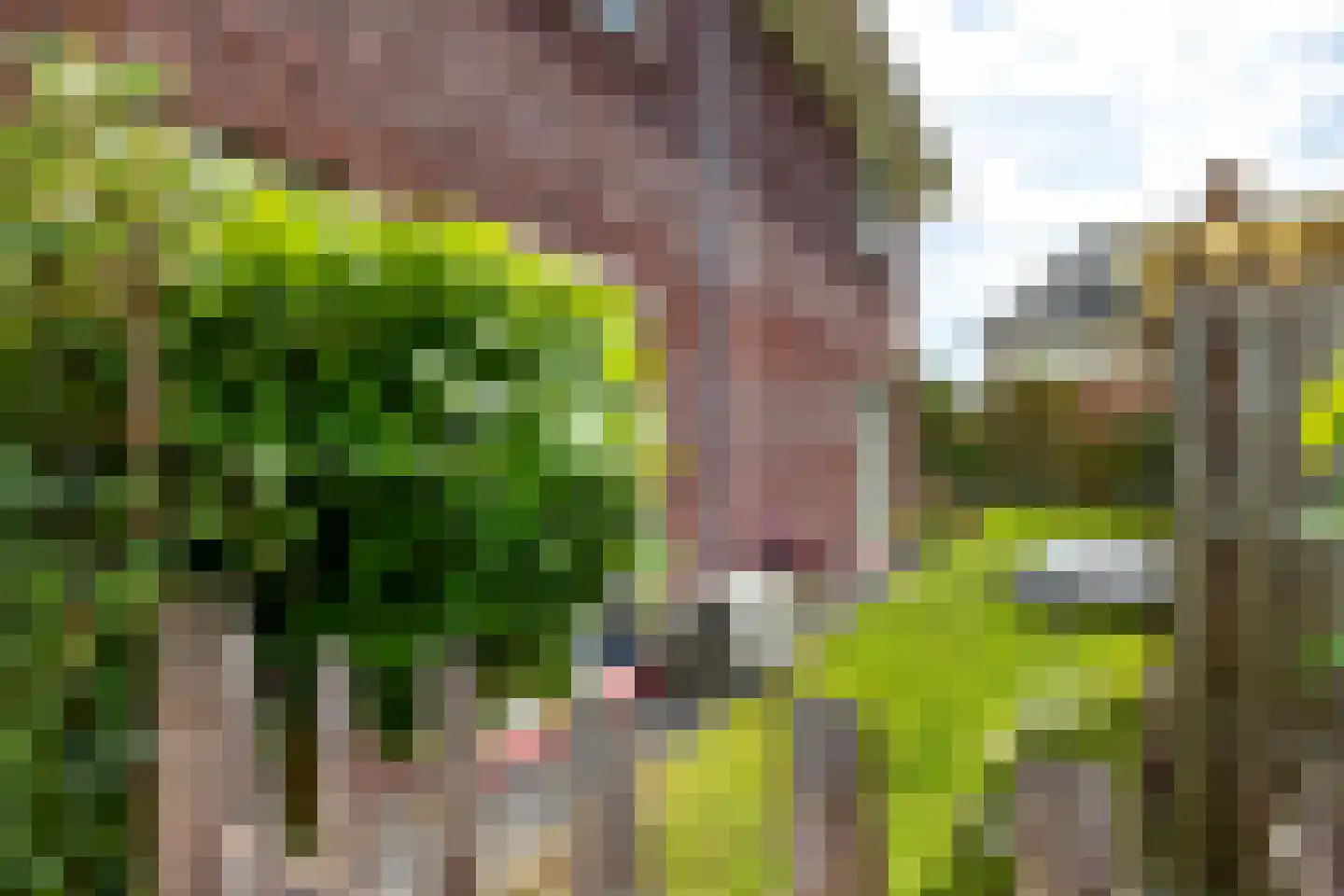 de Biezenbusse 12 Zelhem thumbnail 18