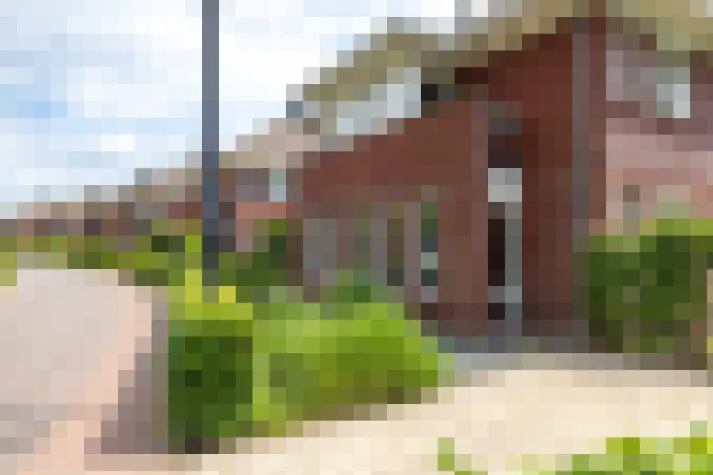 de Biezenbusse 12 Zelhem thumbnail 19