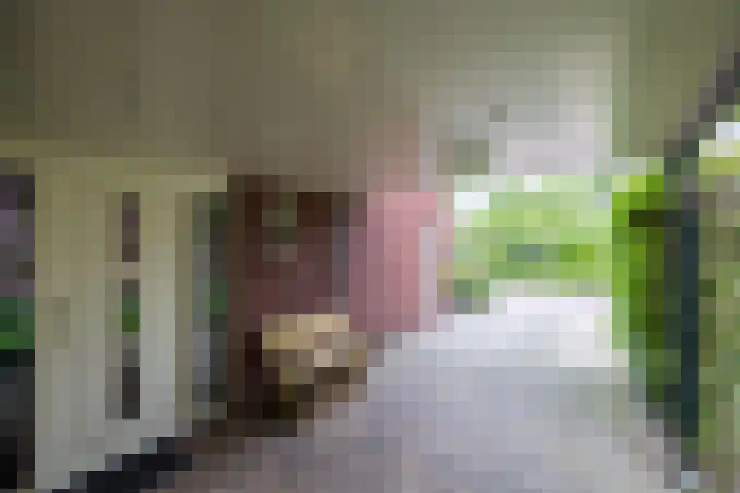 de Biezenbusse 12 Zelhem thumbnail 22