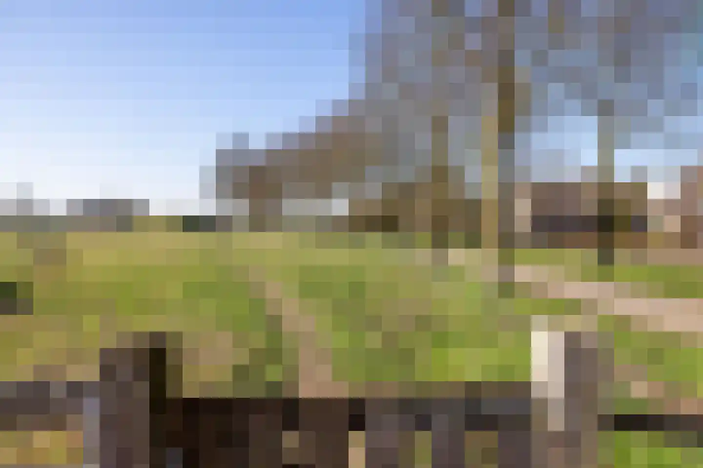 de Biezenbusse 12 Zelhem thumbnail 37