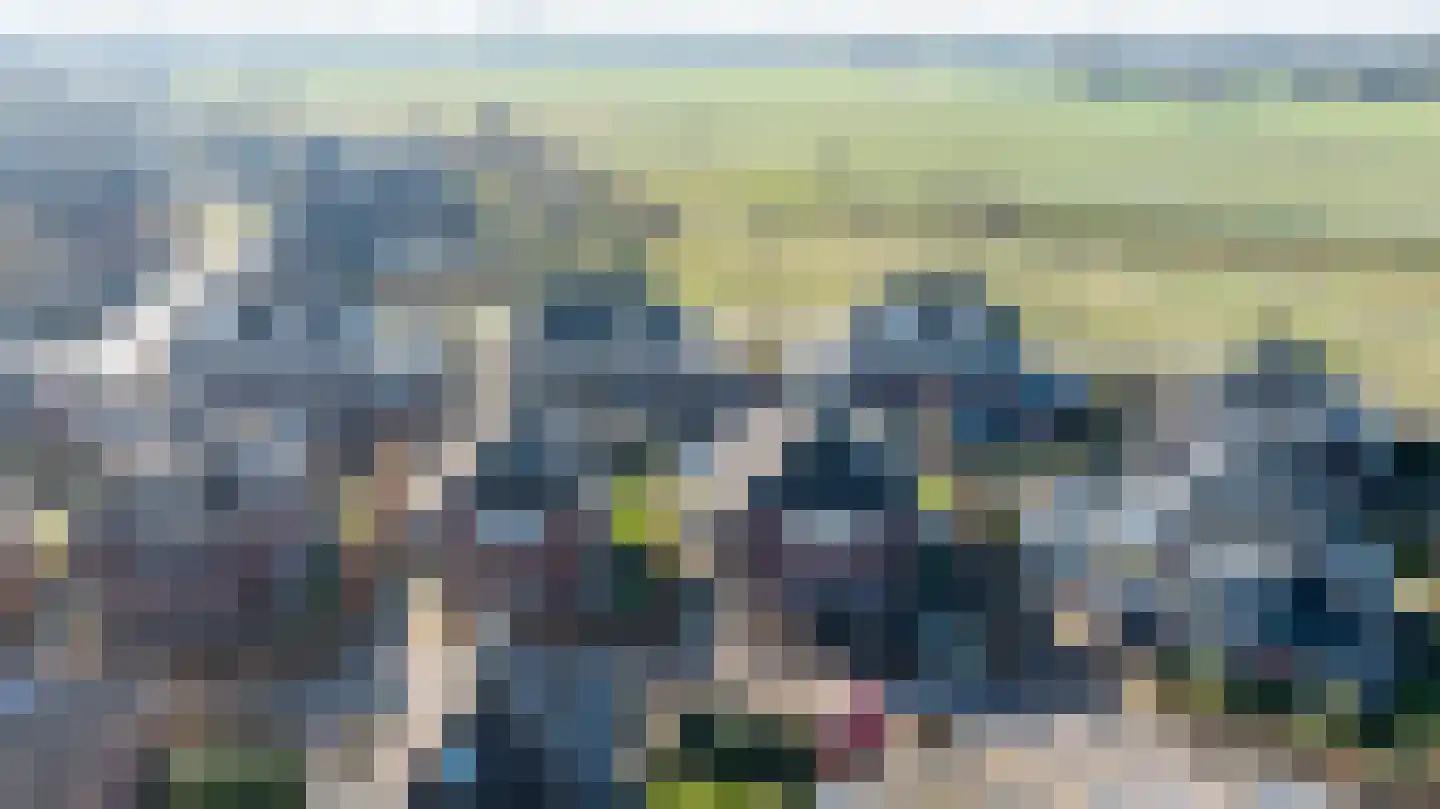 de Biezenbusse 12 Zelhem thumbnail 40