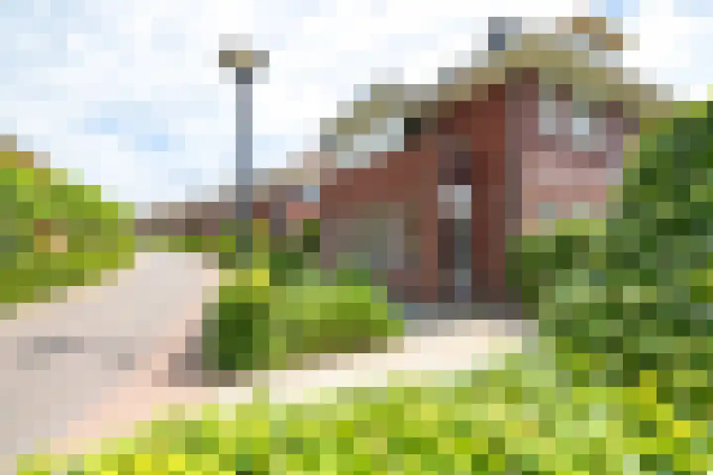 de Biezenbusse 12 Zelhem thumbnail 42