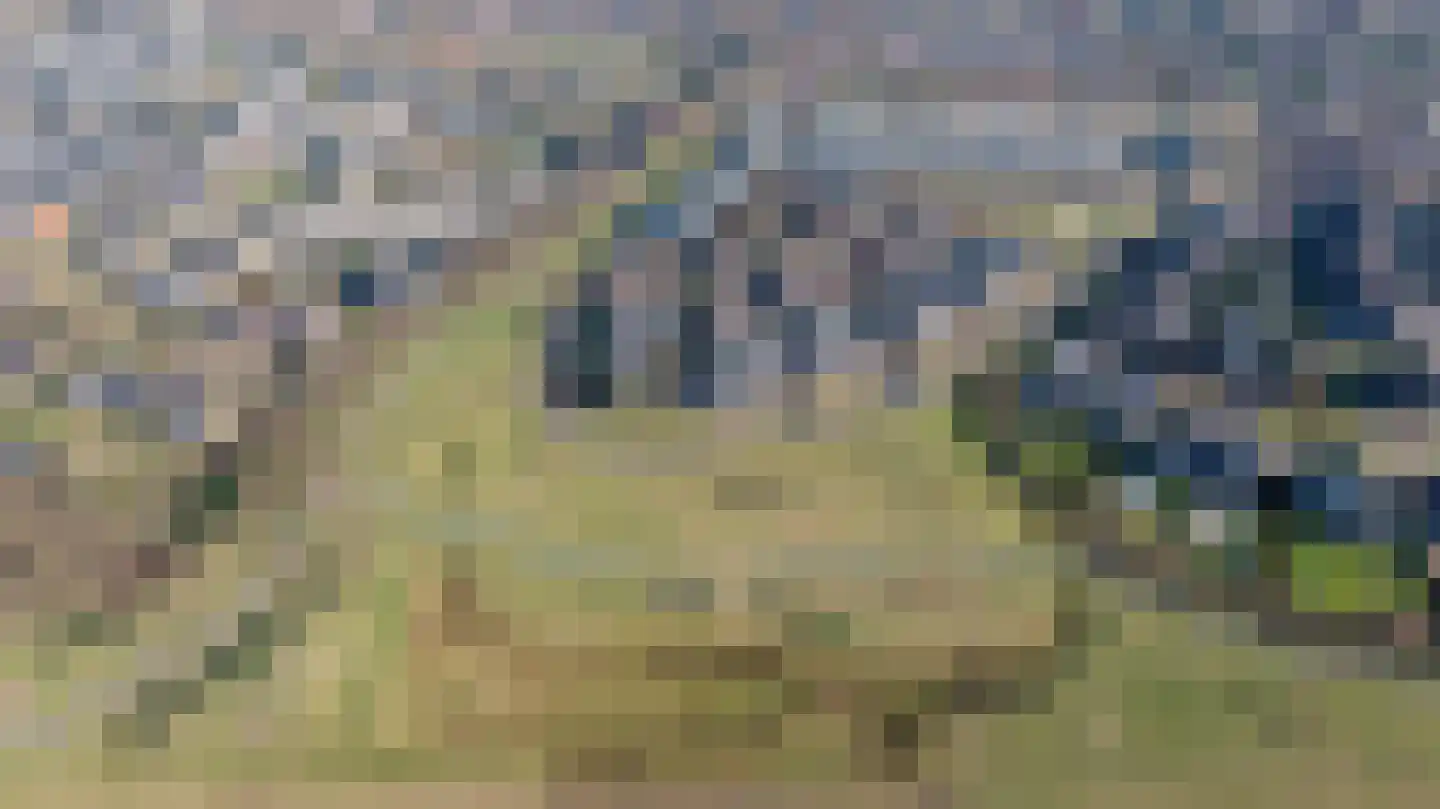 de Biezenbusse 12 Zelhem thumbnail 44