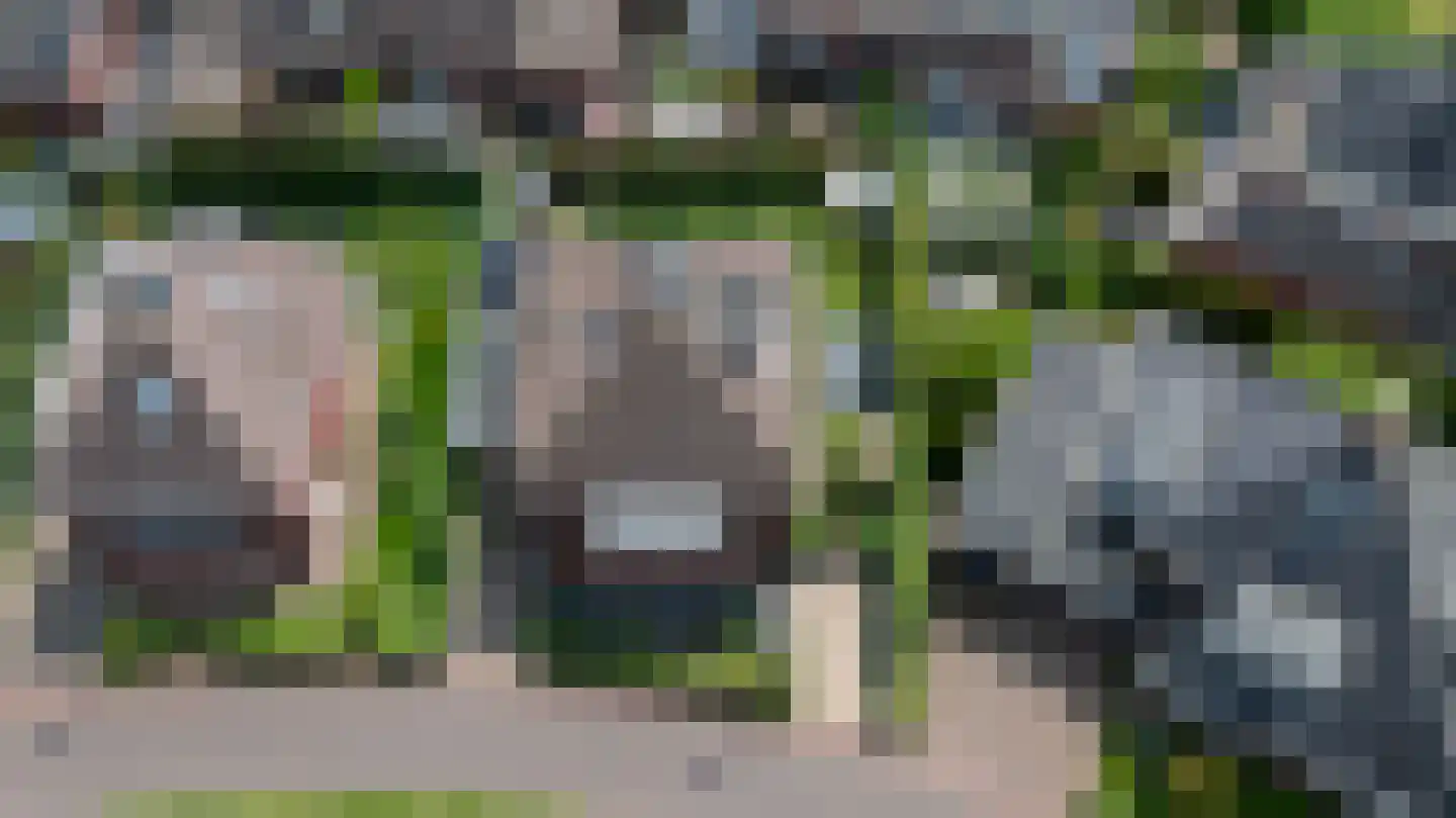 de Biezenbusse 12 Zelhem thumbnail 47