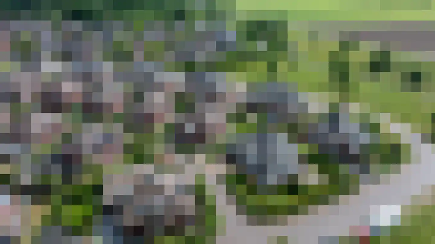 de Biezenbusse 12 Zelhem thumbnail 49
