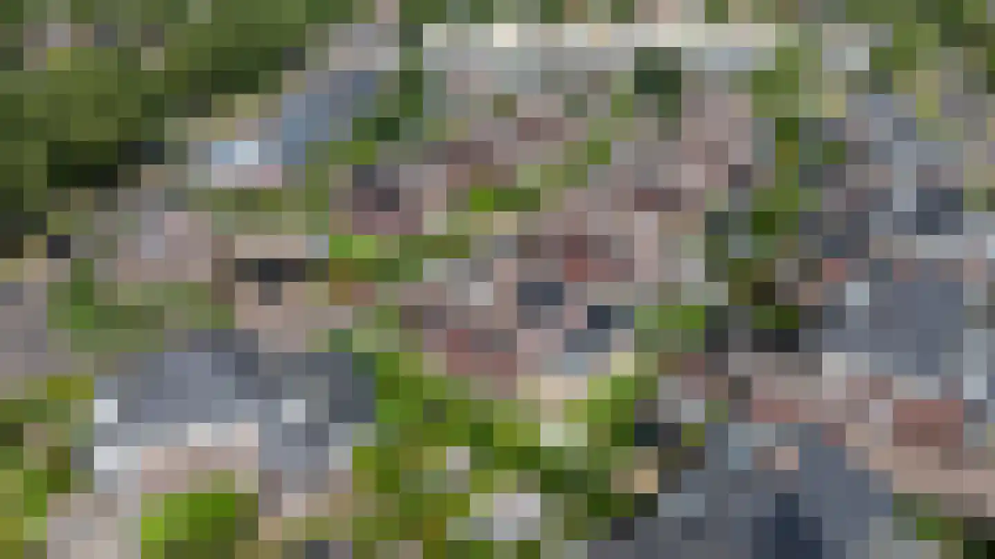 de Biezenbusse 12 Zelhem thumbnail 50