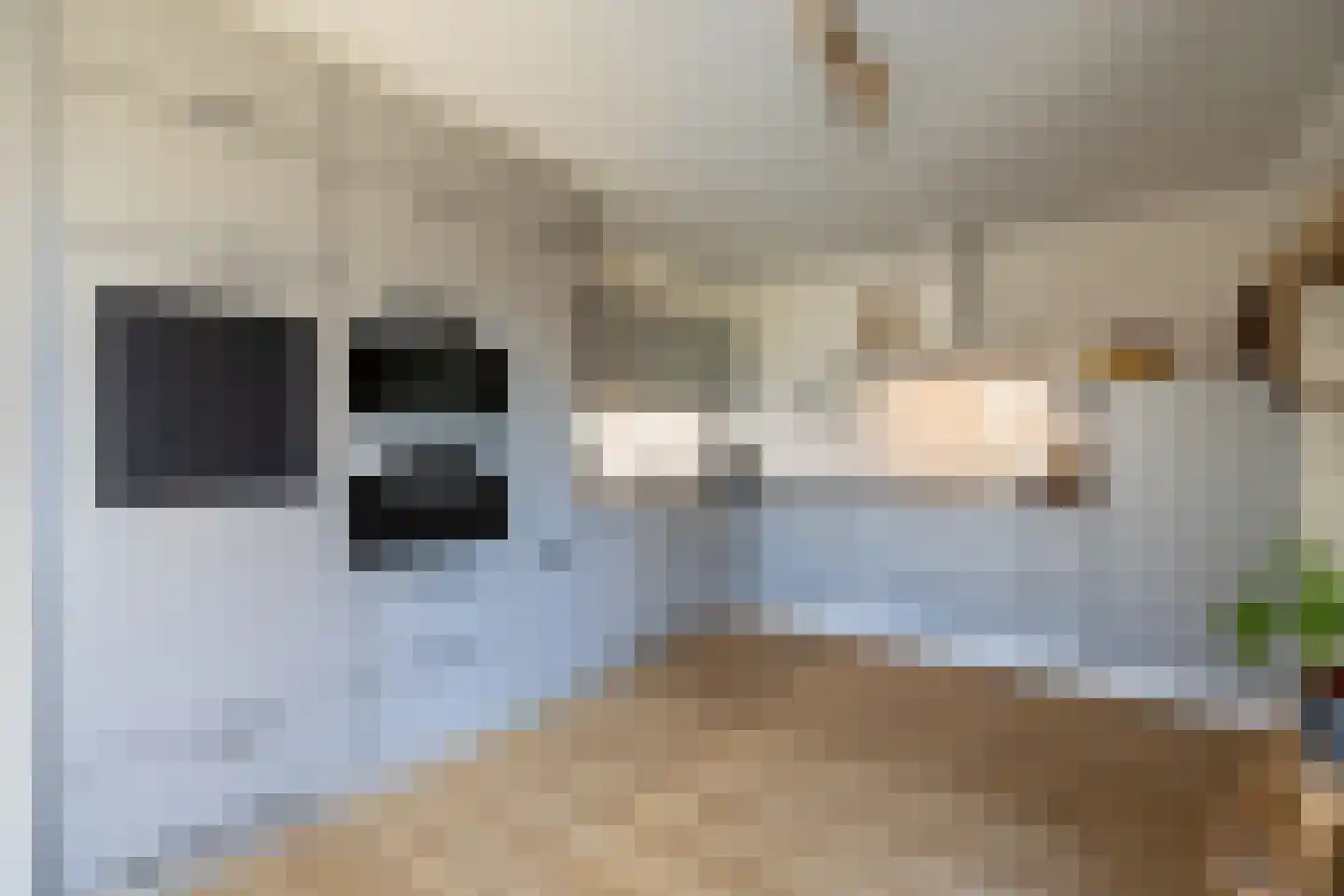 de Biezenbusse 12 Zelhem thumbnail 9