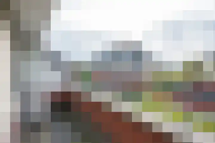 de Biezenbusse 14 Zelhem thumbnail 28