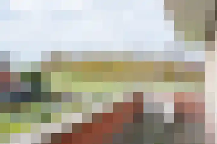de Biezenbusse 14 Zelhem thumbnail 29