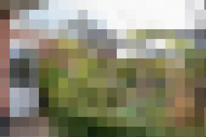 de Biezenbusse 14 Zelhem thumbnail 36