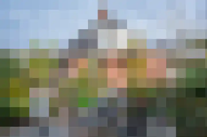 de Biezenbusse 14 Zelhem thumbnail 40
