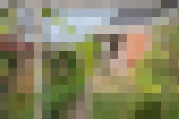 de Biezenbusse 14 Zelhem thumbnail 41
