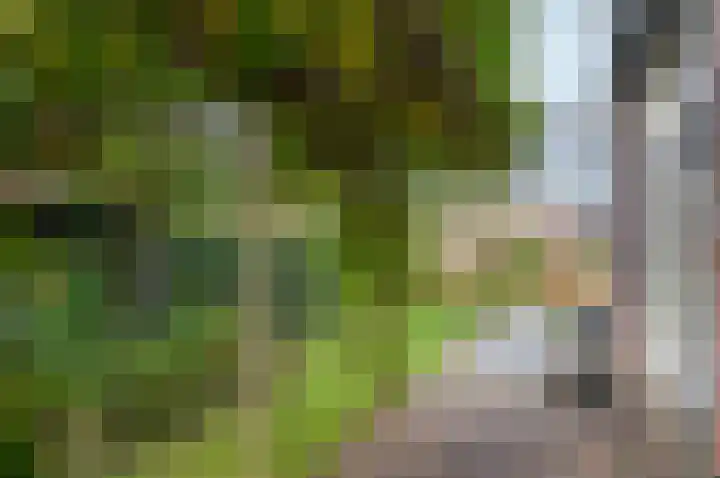 de Biezenbusse 14 Zelhem thumbnail 42