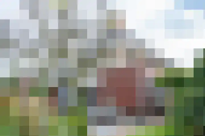 de Biezenbusse 14 Zelhem thumbnail 43