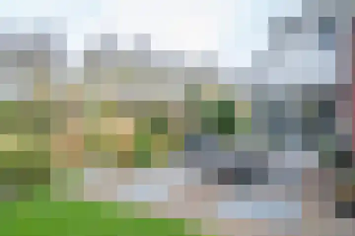 de Biezenbusse 14 Zelhem thumbnail 44