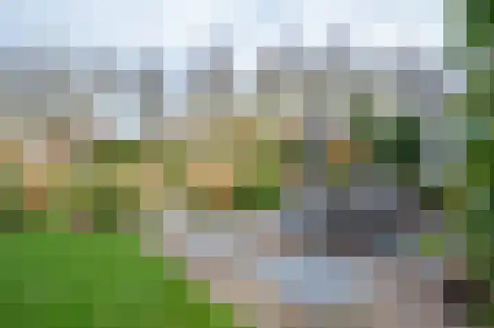 de Biezenbusse 14 Zelhem thumbnail 45