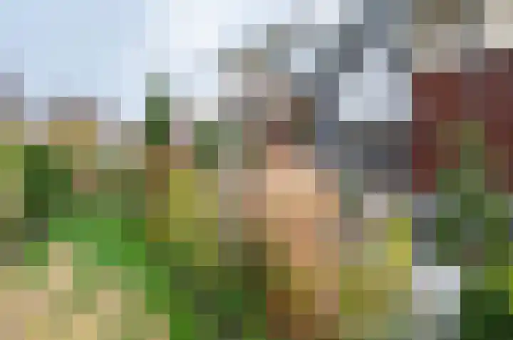 de Biezenbusse 14 Zelhem thumbnail 46