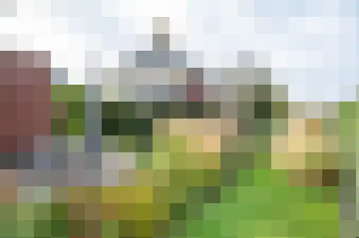 de Biezenbusse 14 Zelhem thumbnail 47