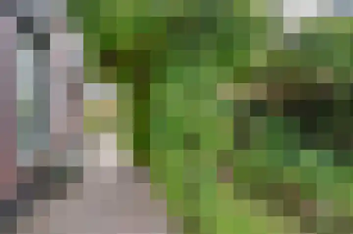 de Biezenbusse 14 Zelhem thumbnail 48