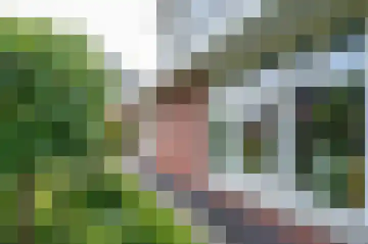 de Biezenbusse 14 Zelhem thumbnail 49