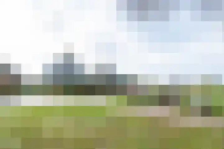de Biezenbusse 14 Zelhem thumbnail 51
