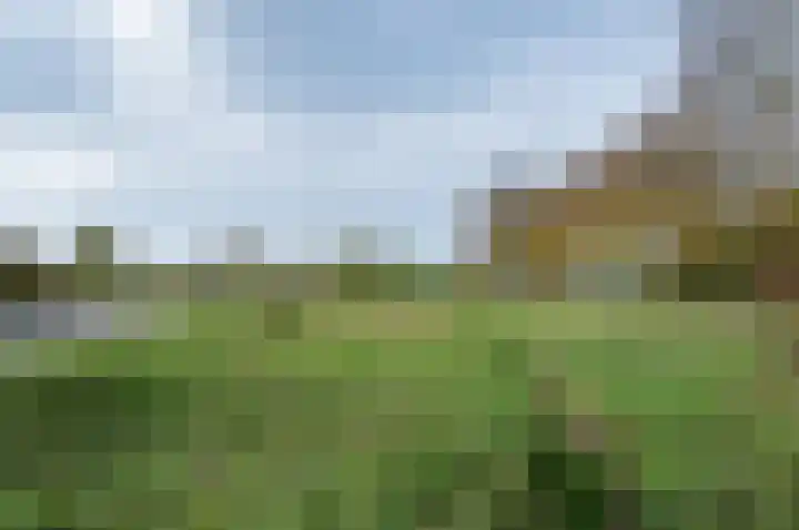 de Biezenbusse 14 Zelhem thumbnail 52