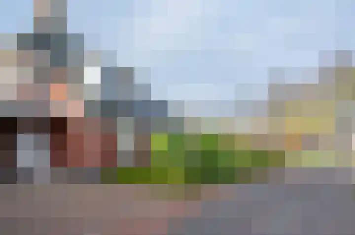 de Biezenbusse 14 Zelhem thumbnail 6