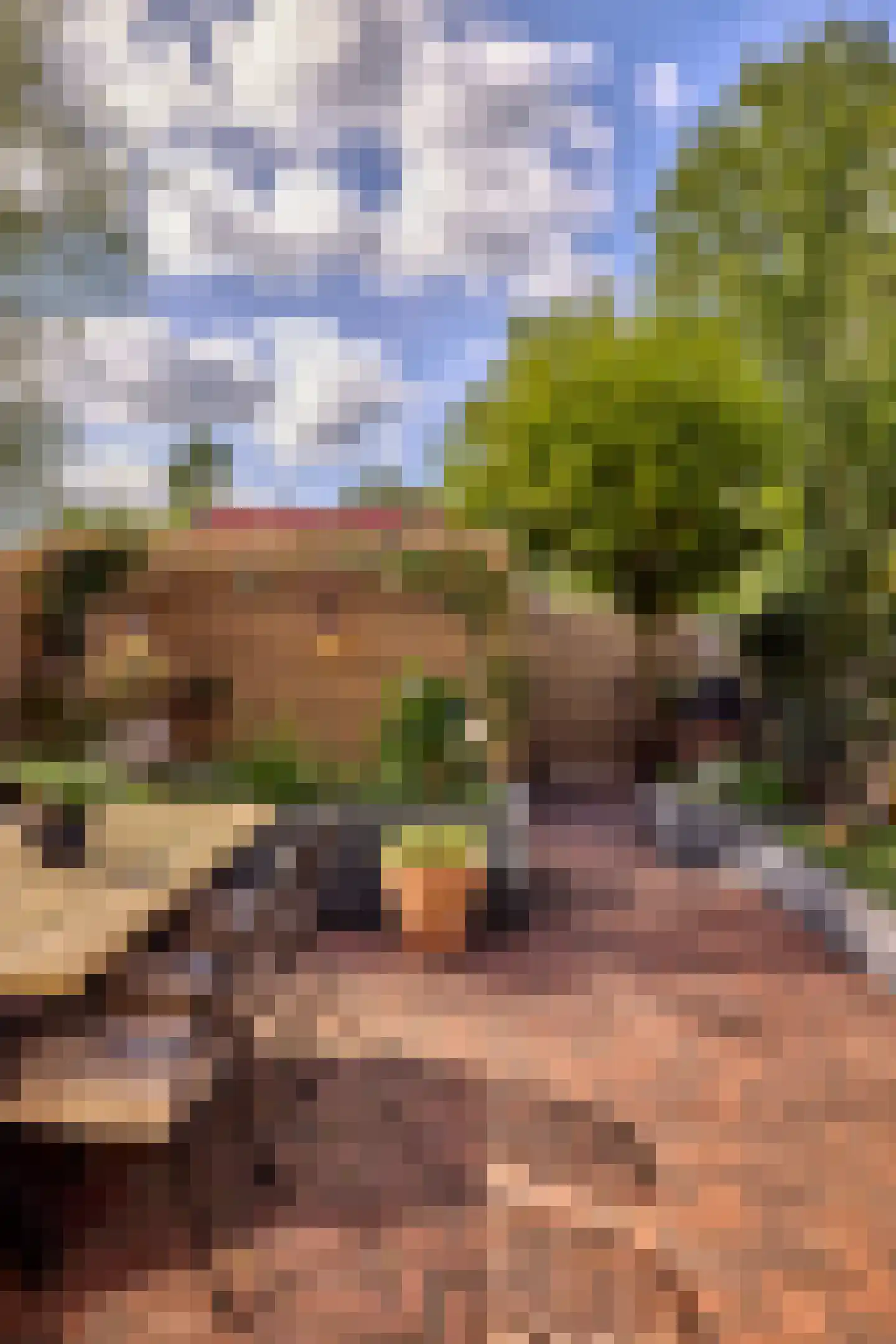 De Biezenhof 24 Amsterdam thumbnail 13