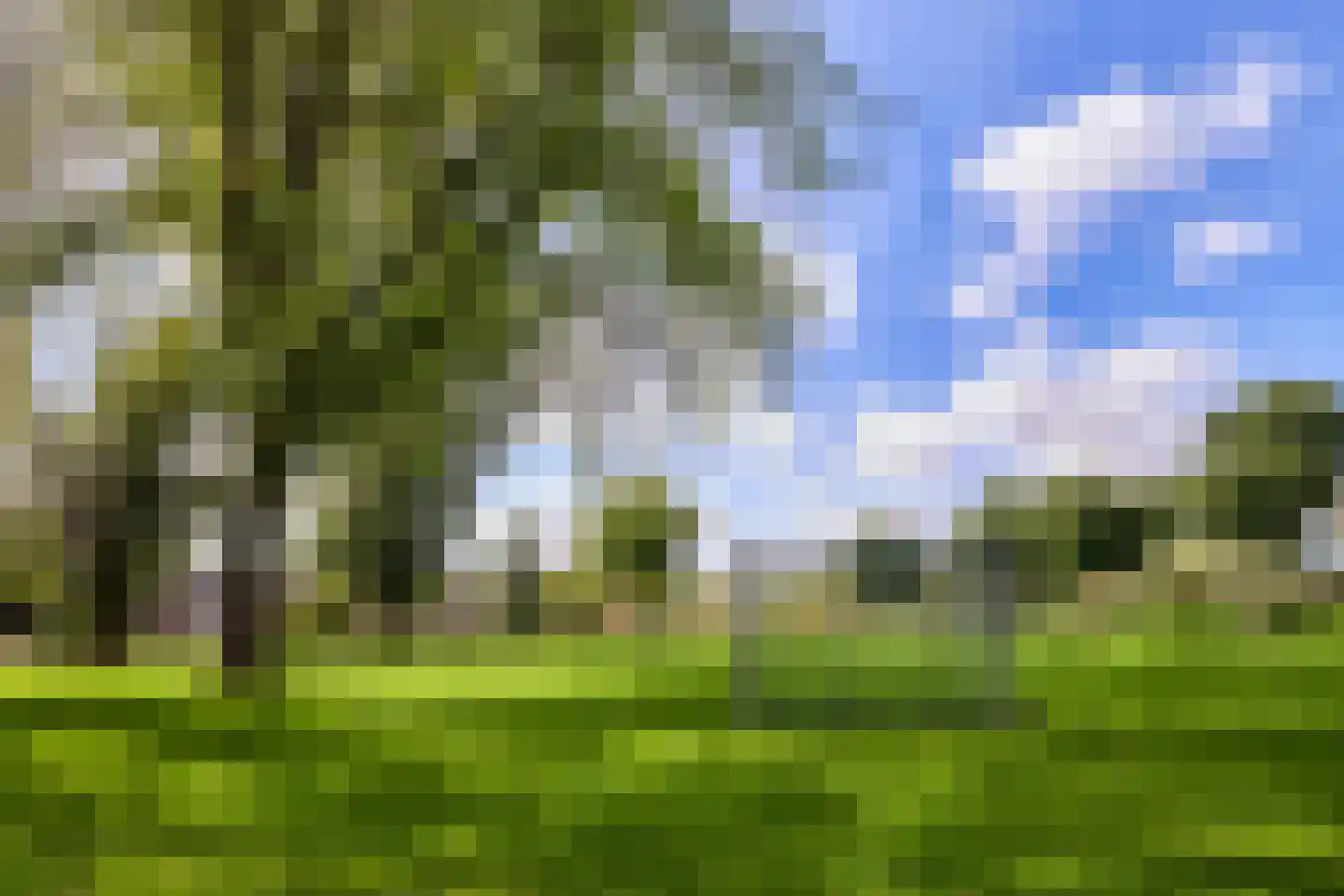 De Biezenhof 24 Amsterdam thumbnail 17